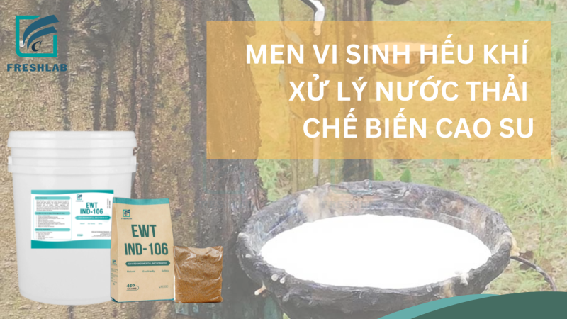 men vi sinh xử lý nước thải