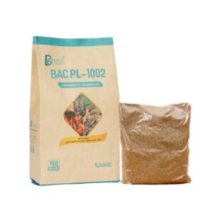 Men vi sinh xử lý nước ao nuôi BAC PL-1002