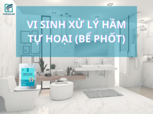 Giải pháp vi sinh dân dụng