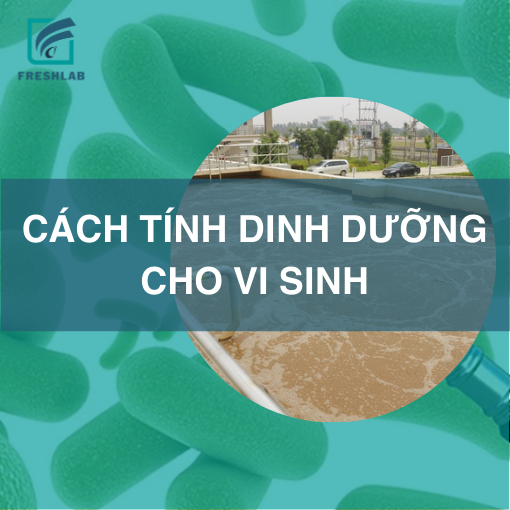 Cách tính dinh dưỡng cho bể sinh học trong xử lý nước thải