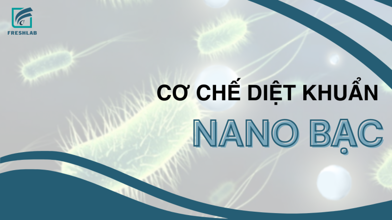 Cơ chế diệt khuẩn và tính an toàn của nano bạc