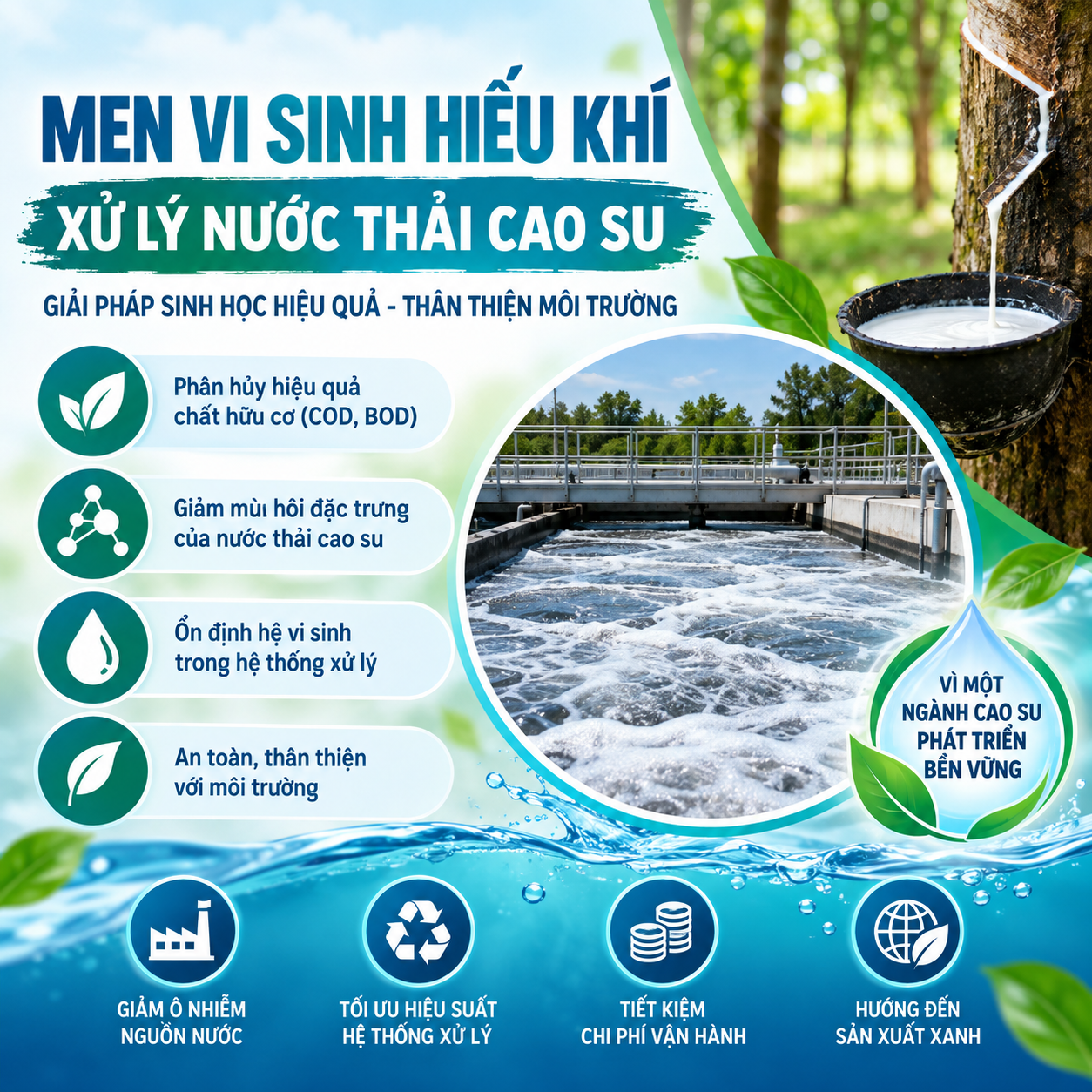Men vi sinh hiếu khí xử lý nước thải cao su