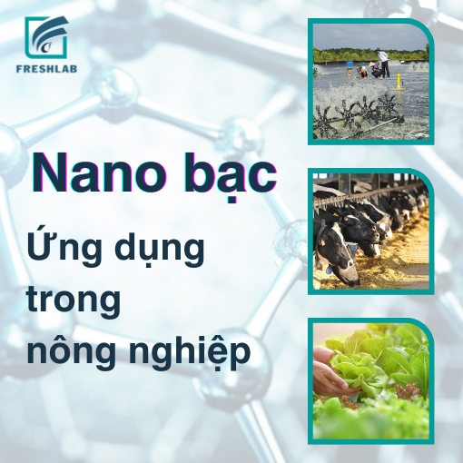 nano-bac-phong-benh