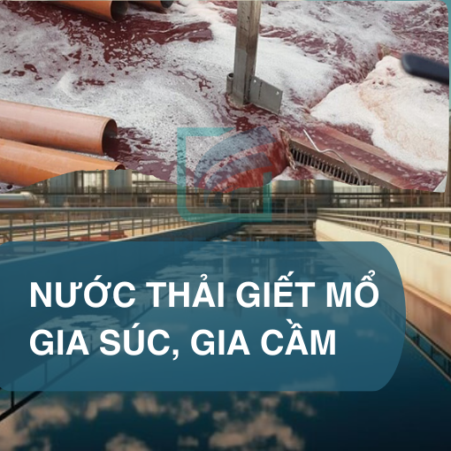 Xử lý nước thải giết mổ gia cầm, gia súc