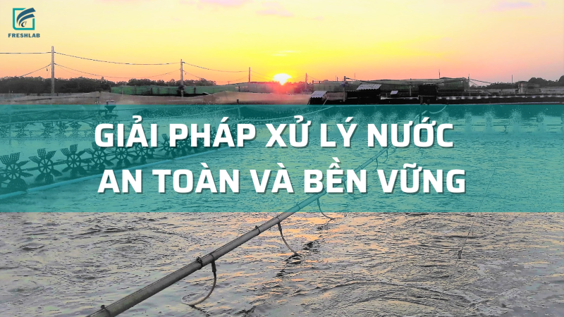 Giải pháp xử lý nước ao nuôi an toàn