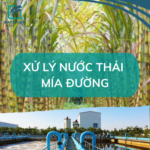 Vi sinh xử lý nước thải mía đường