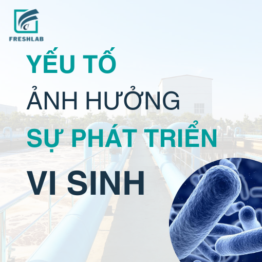 4 yếu tố ảnh hưởng đến vi sinh trong xử lý nước thải