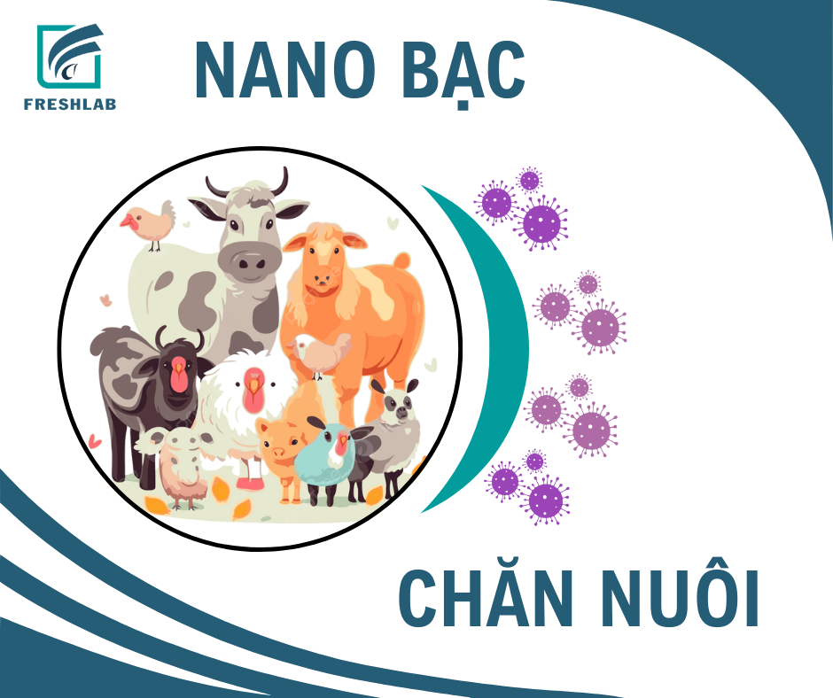 Nano bạc chăn nuôi