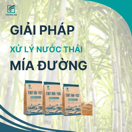 men vi sinh xử lý nước thải