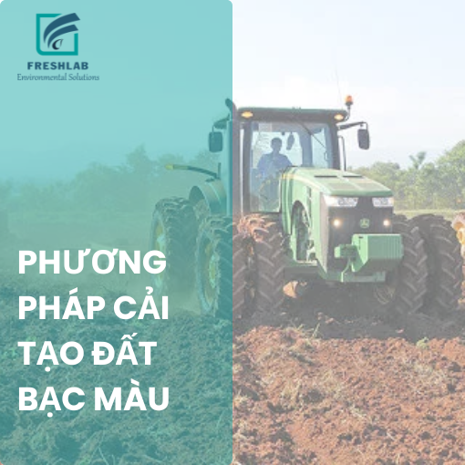 Khi nào nên sử dụng phân bón vi sinh cho đất trồng?