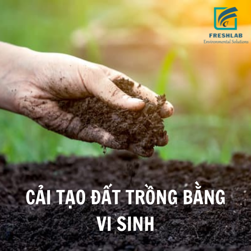 Tại sao cần cải tạo đất sau thời gian dài trồng hoa màu?