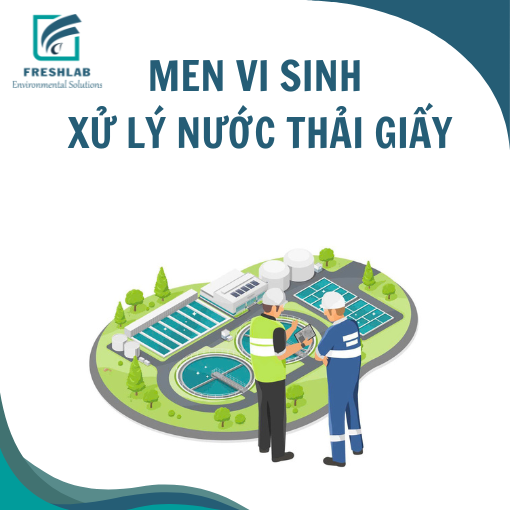 Men vi sinh xử lý nước thải giấy