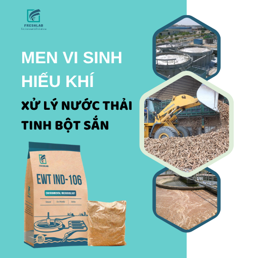 men vi sinh hiếu khí