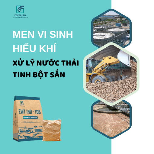 Men vi sinh hiếu khí xử lý nước thải ngành tinh bột sắn