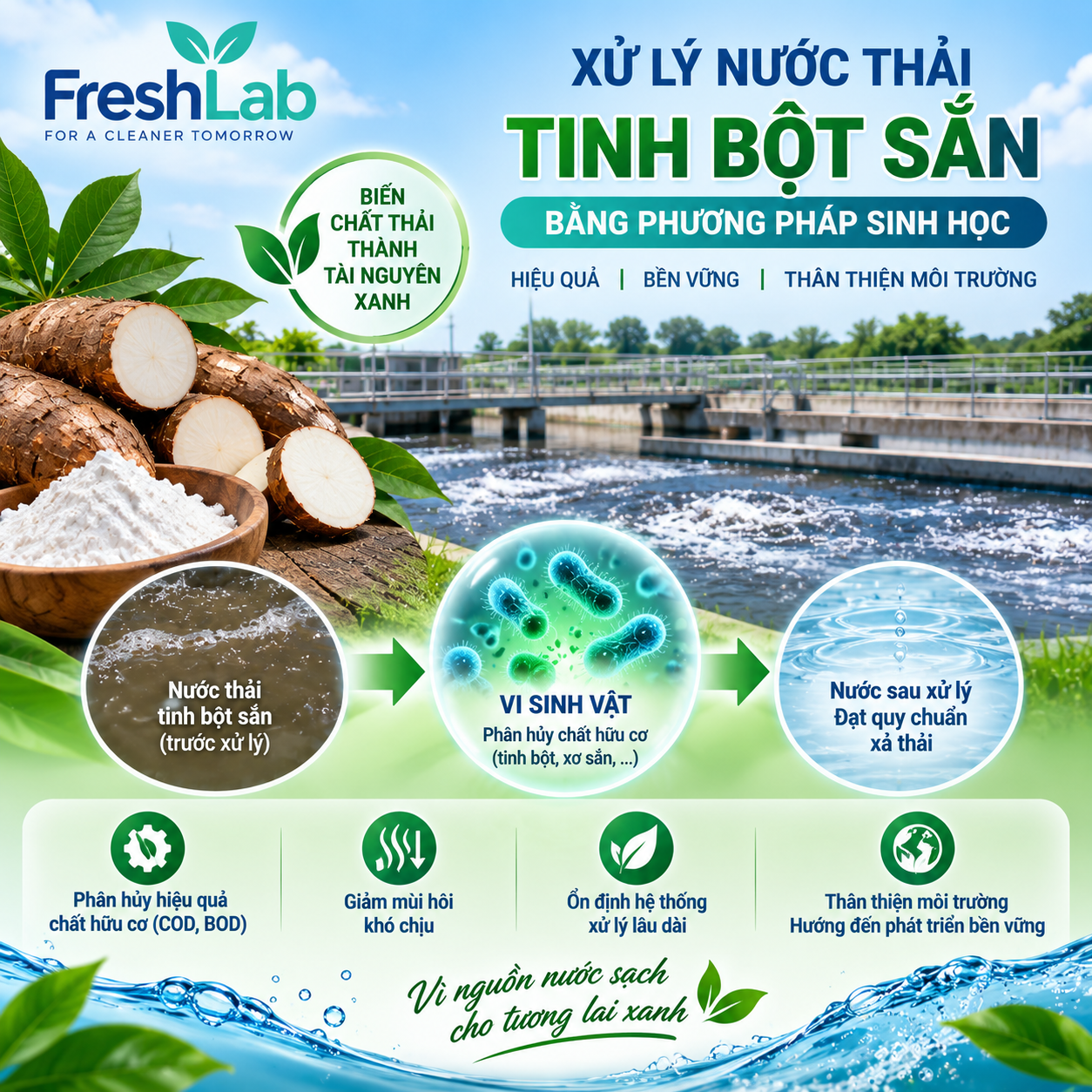 Xử lý nước thải tinh bột sắn bằng phương pháp sinh học