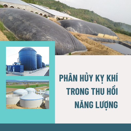phan-huy-ky-khi